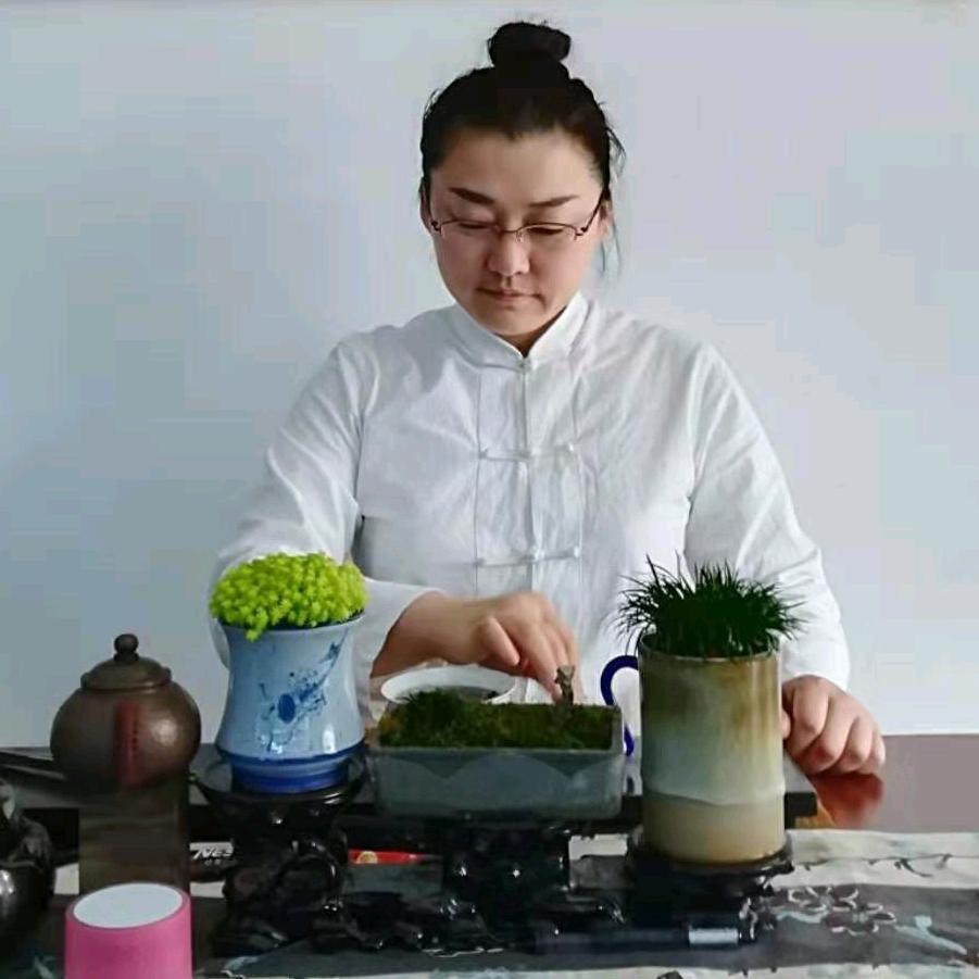 勐海拙舍茶业有限公司