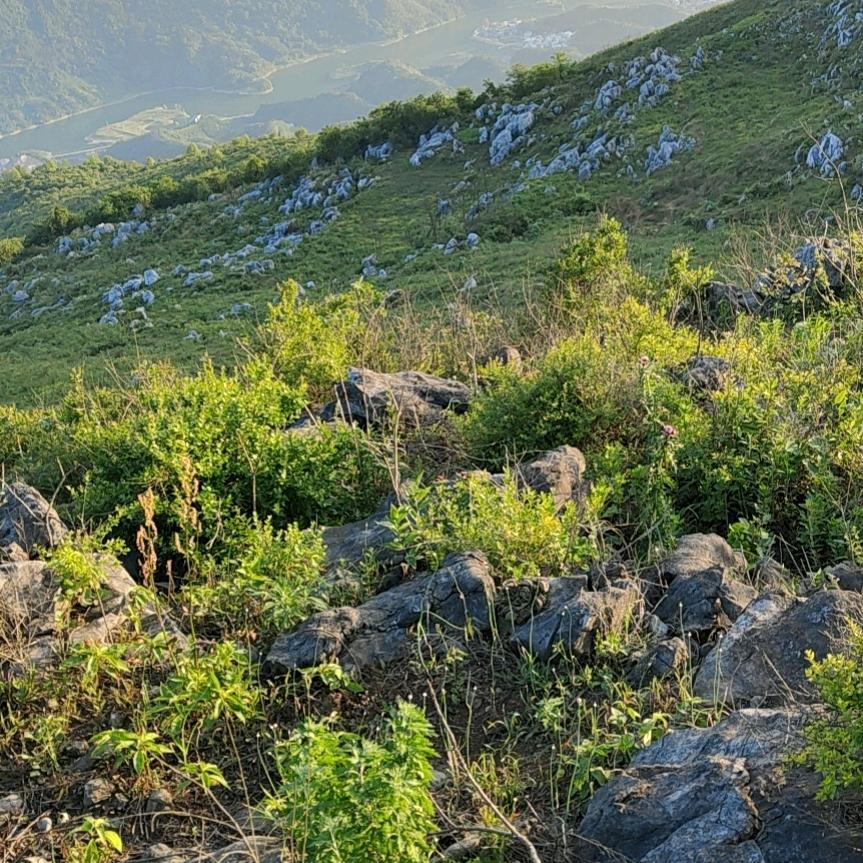 永湖
