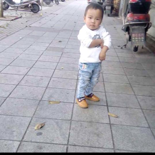 郑了个毛呀
