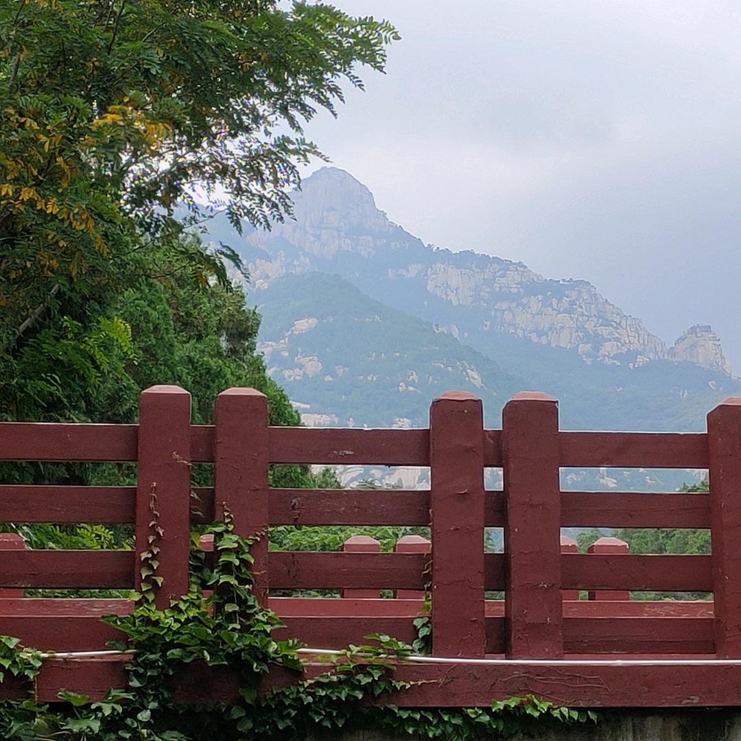 笑°渡₯㎕余生