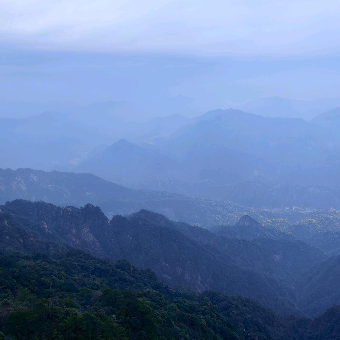 落花拂绿