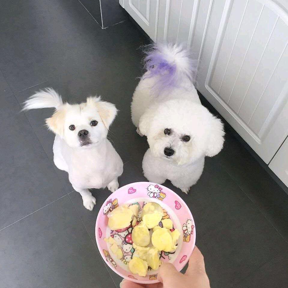 权豆浆+油条（丑儿）+小P