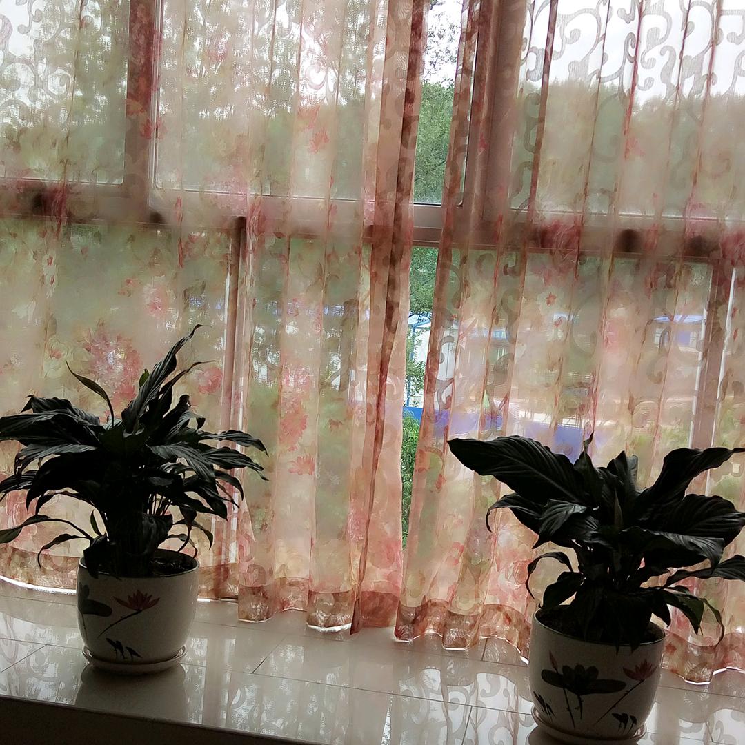 @似梦非梦@
