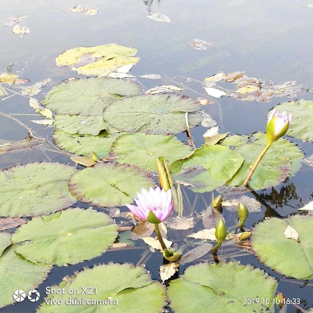 皮尔卡丹商贸男装专卖店