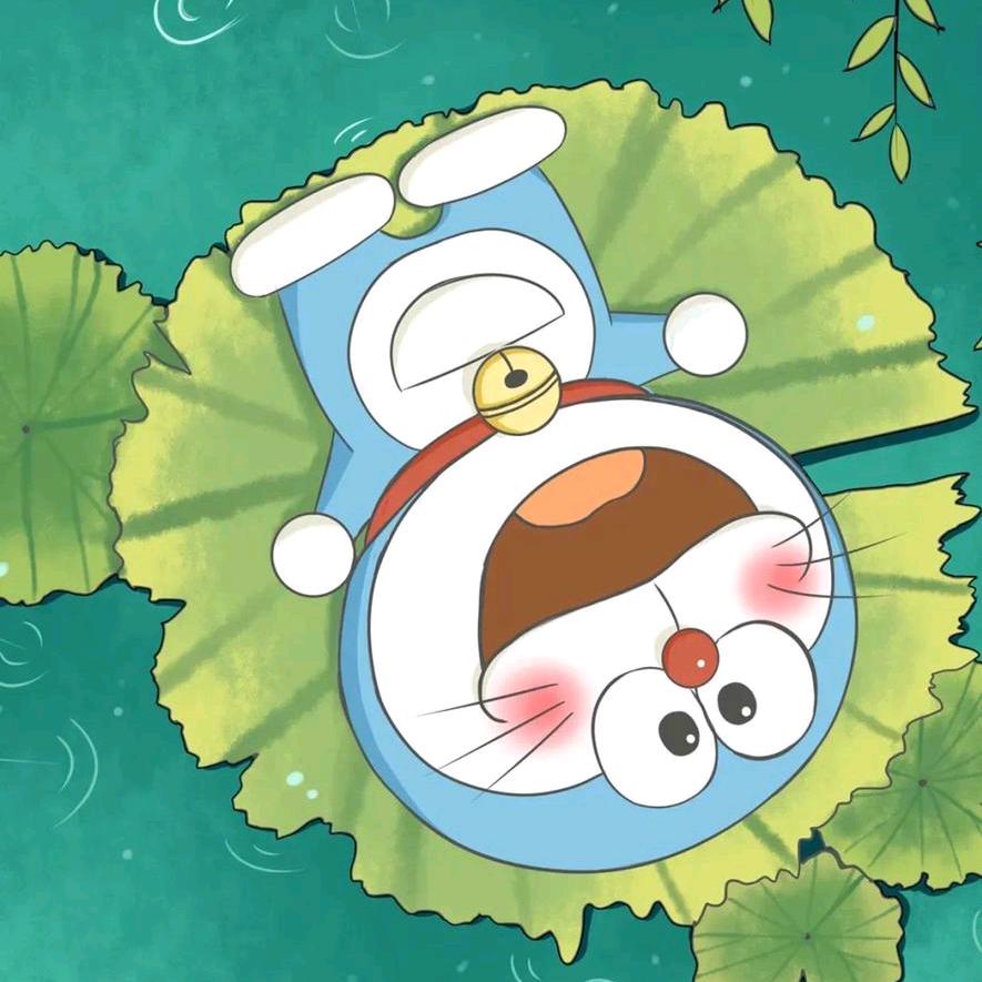 左心小肠肝胆肾