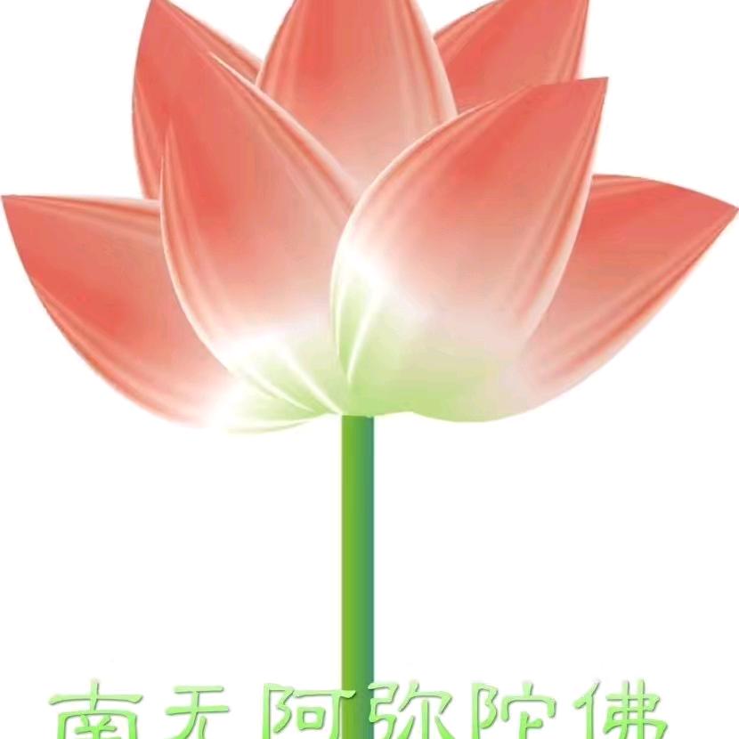 水的境界