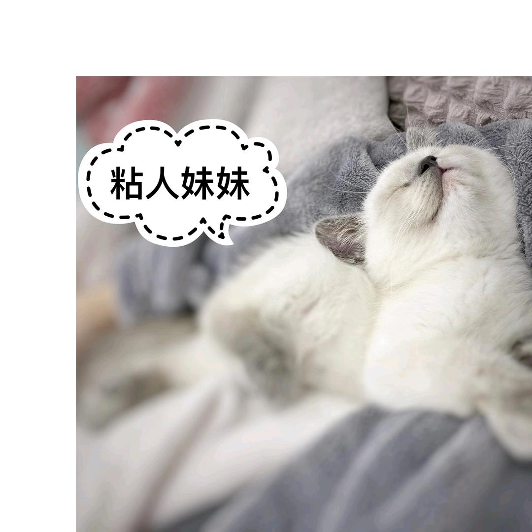 哎呦呀