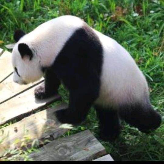 你就是我的唯一