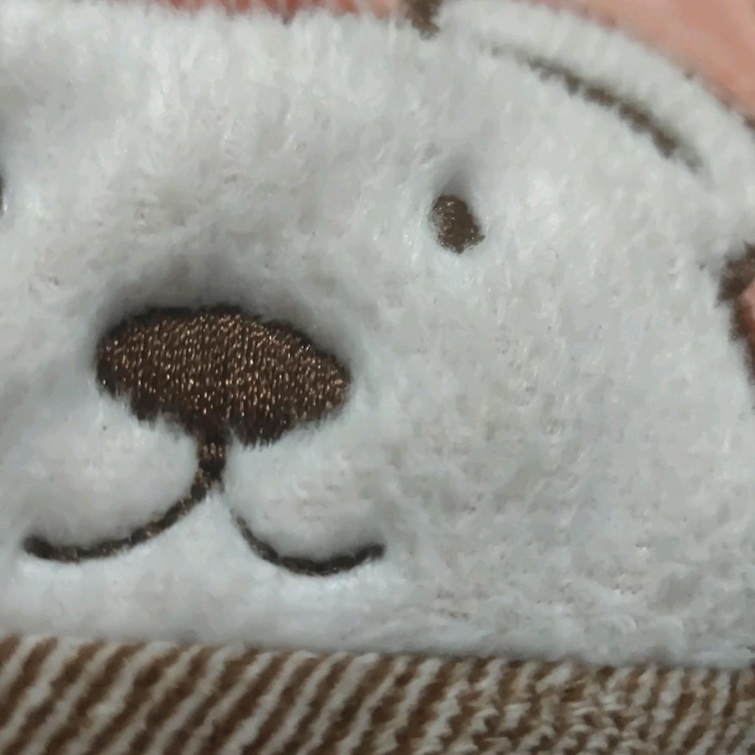 庆涛