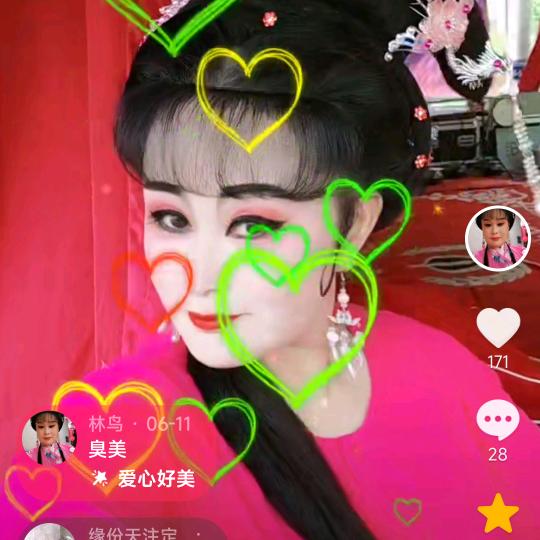 庐剧小鸟
