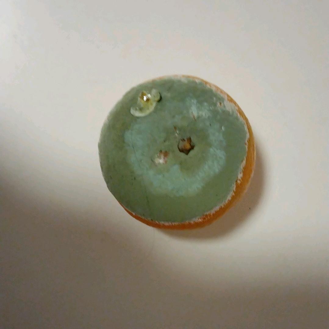 是茜不是xi