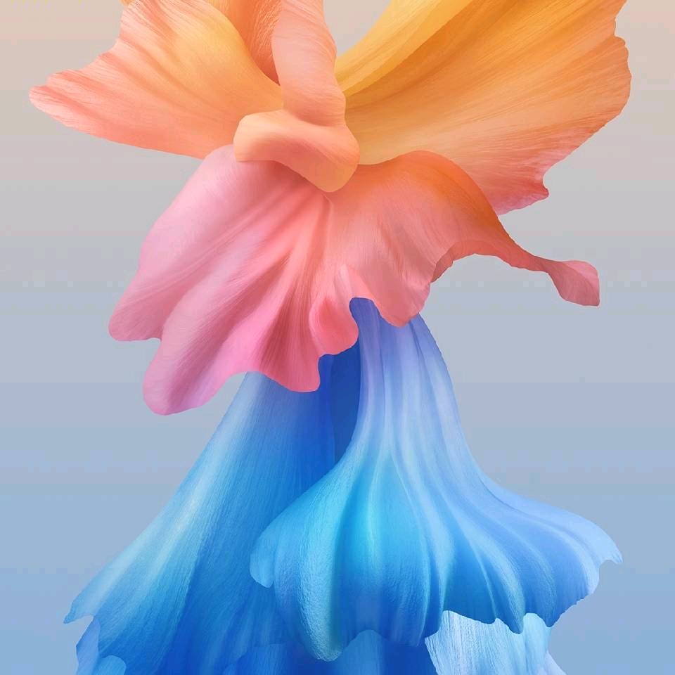 人生自油