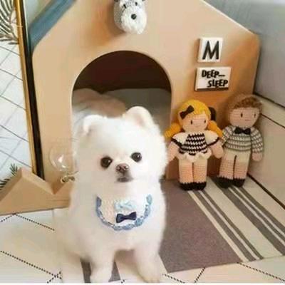 阿荣在越南