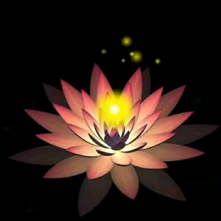 香幽若兰
