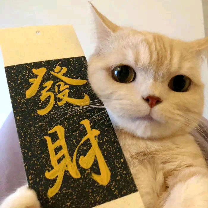 亁壹杯
