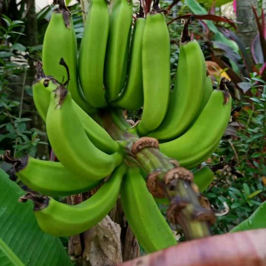 🍃🌾余生🎉随心❤️