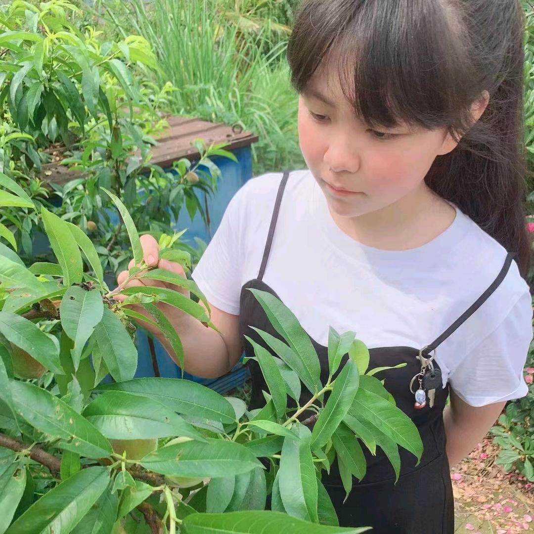 云蕾