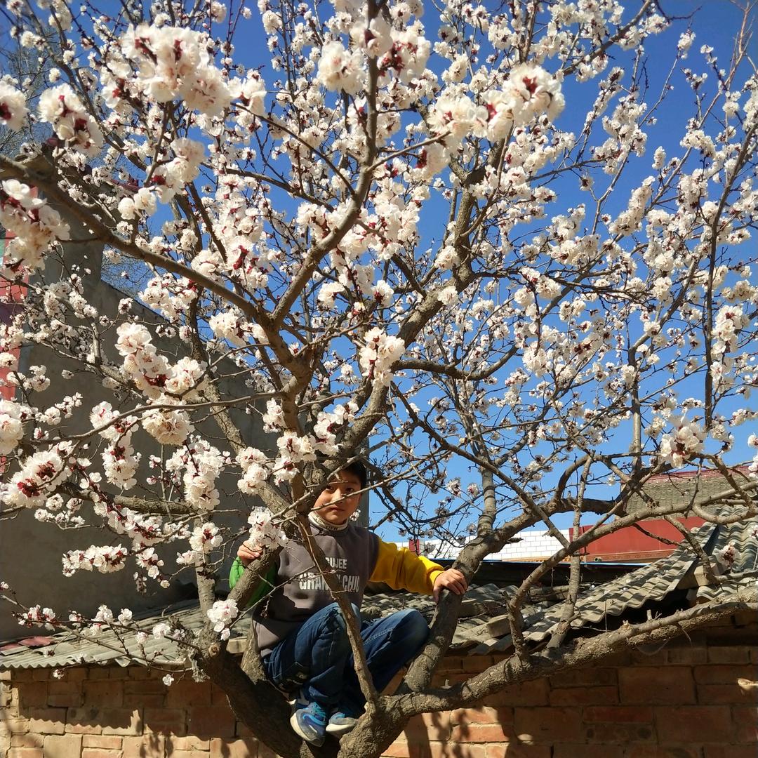 糖糖家的小🉑乐🍼