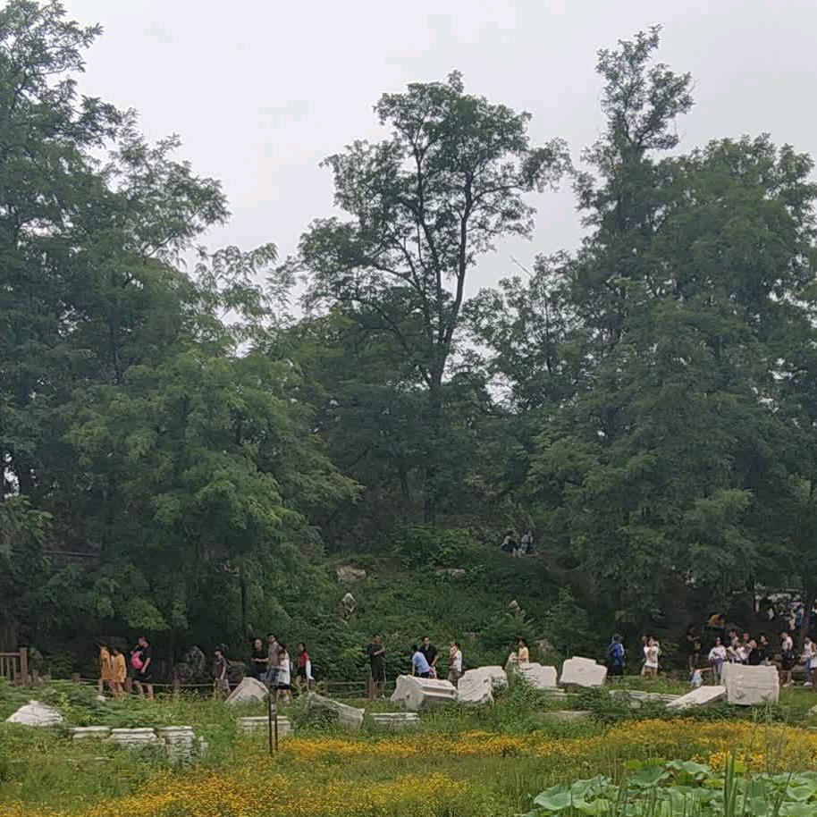梦中山泉