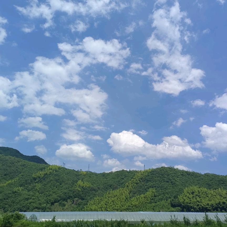 骑马挥剑种葡萄
