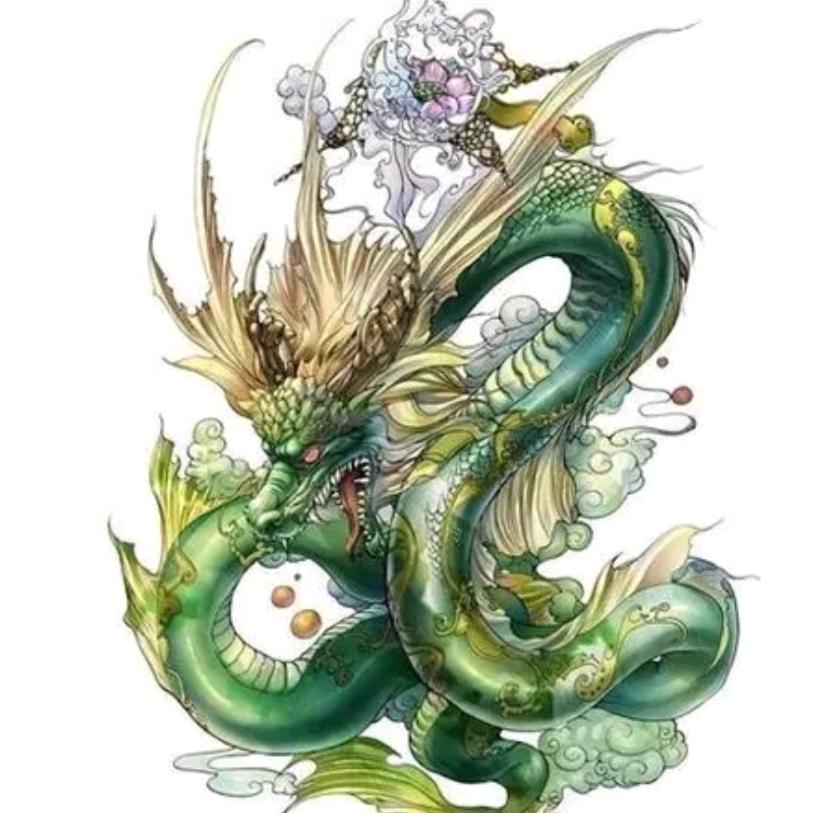 天龙哥🐉