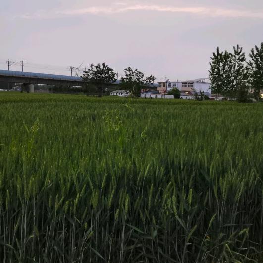 上善若水，水利万物而不争