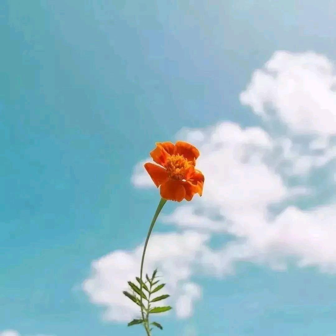贤文