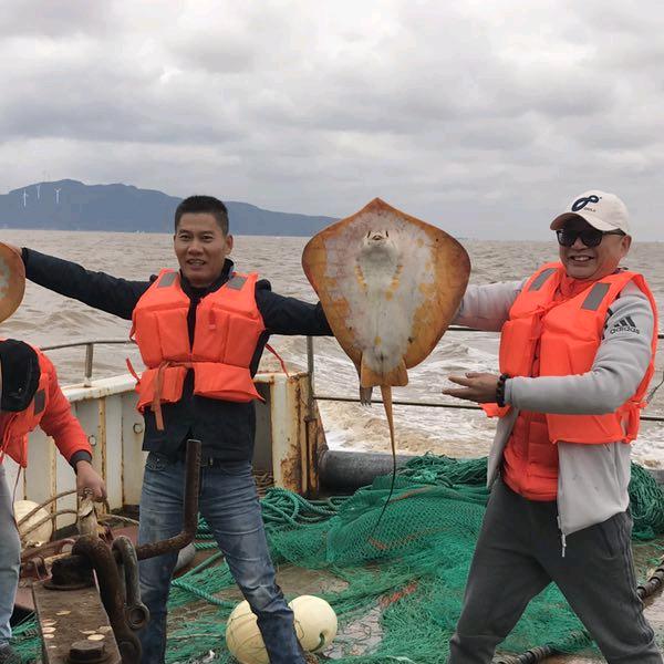 岱山海洋旅游捕鱼