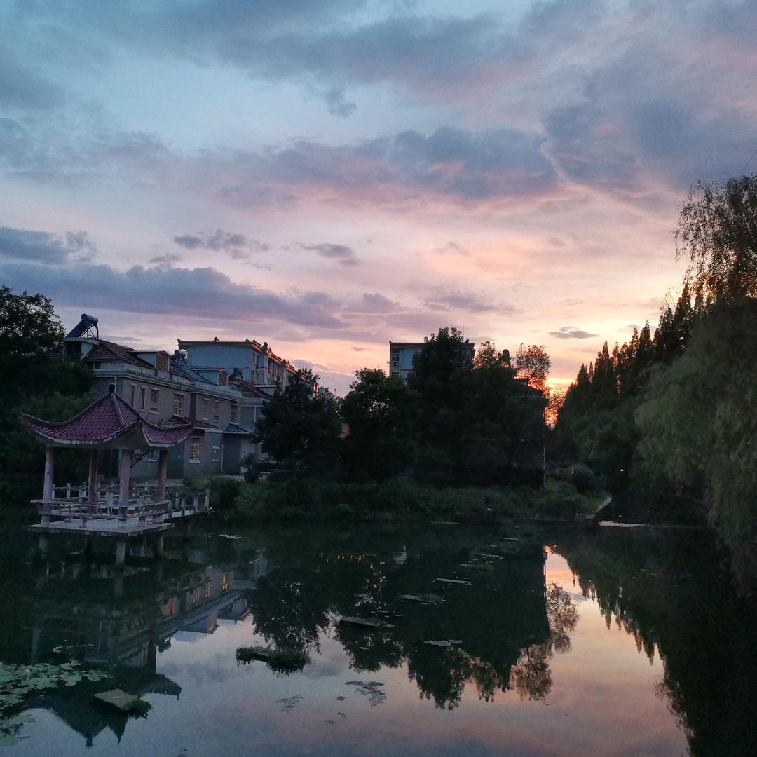 一颗树