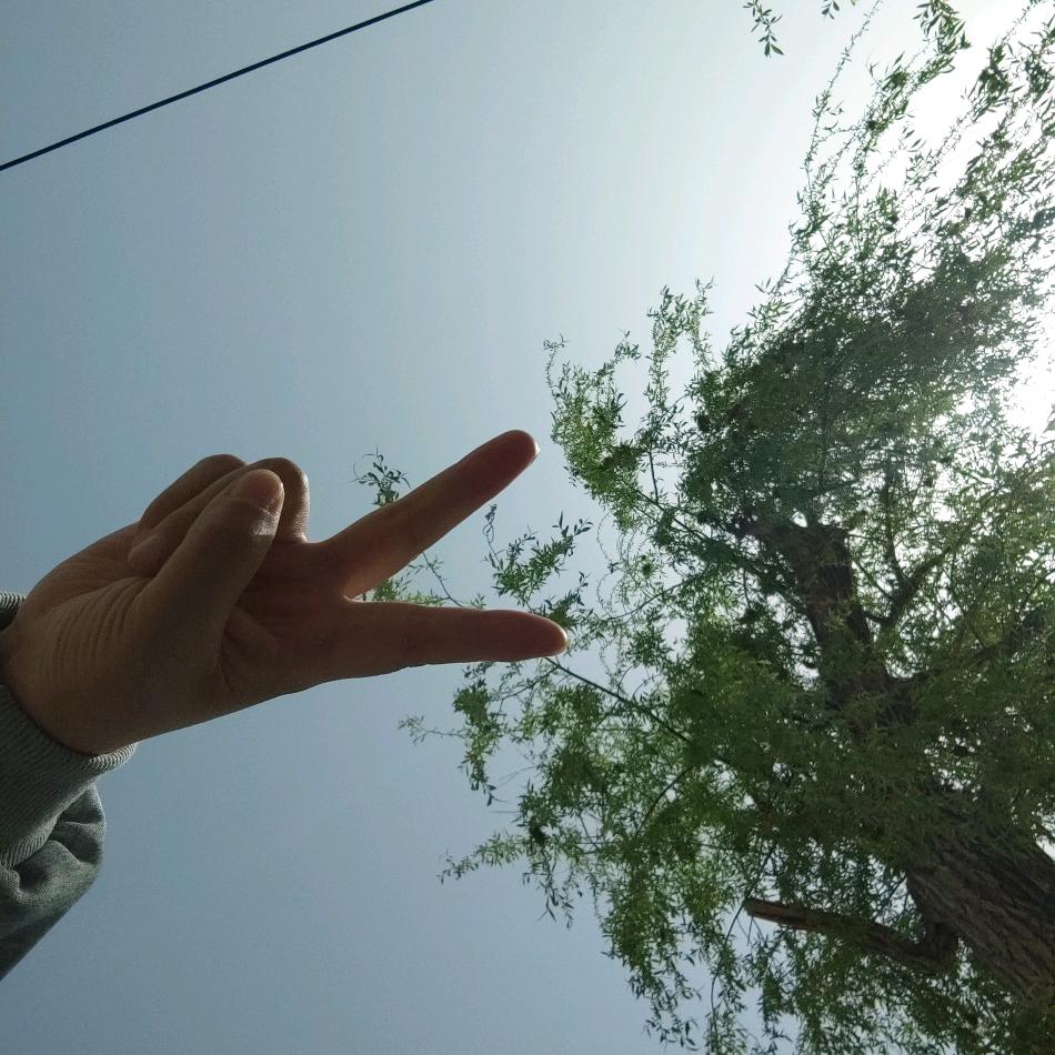 小朋友的王同学