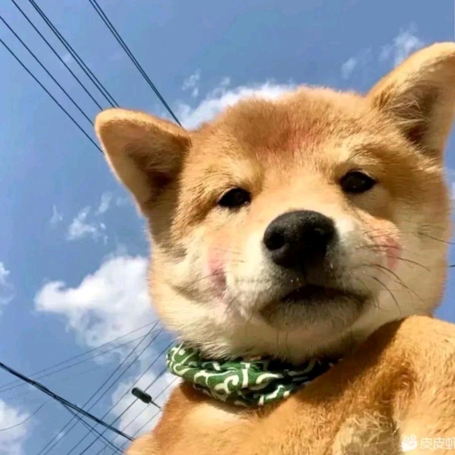 狗头