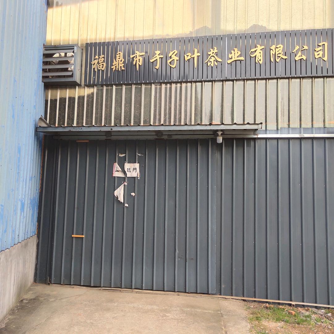 福鼎市太祖茶叶专业合作社