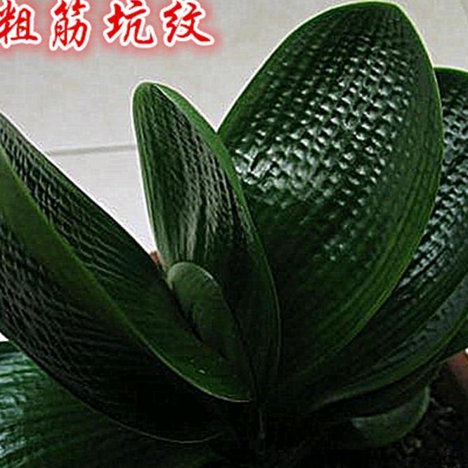 赵志军