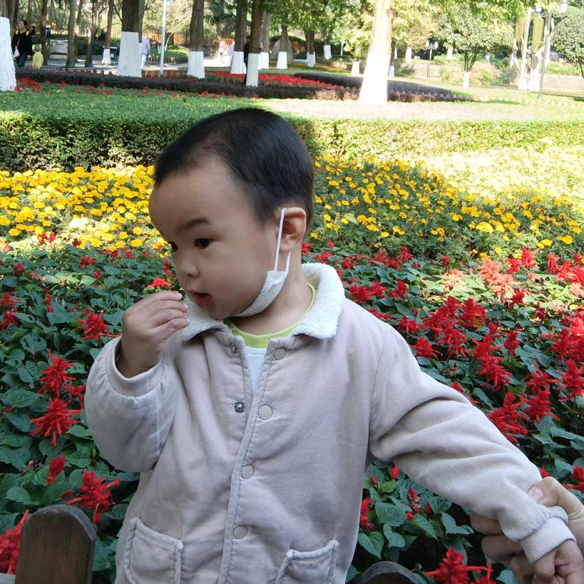 金针菇的小奶狗