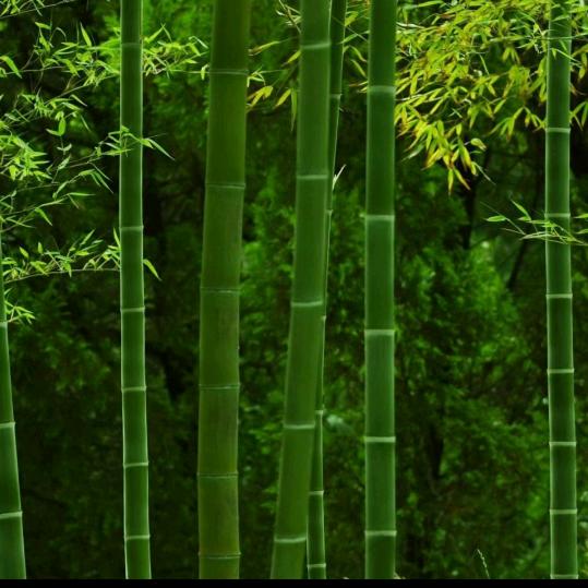 天蝎座