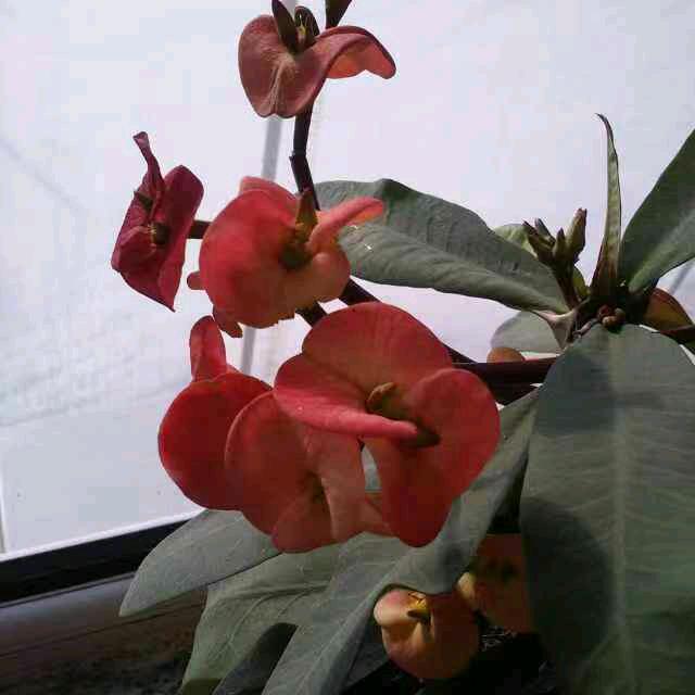 《我爱你中国》