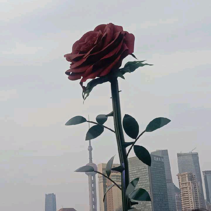 军营中最靓的仔