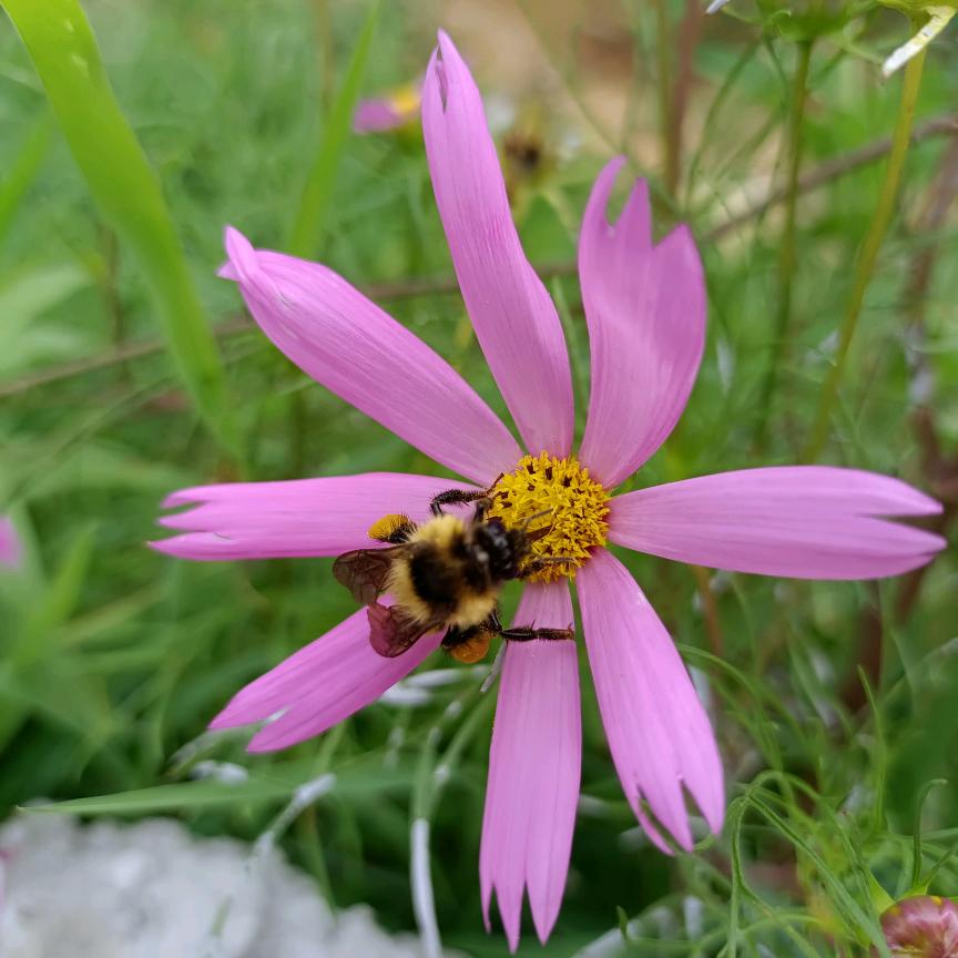 轻抗衰堂美国际郑香香