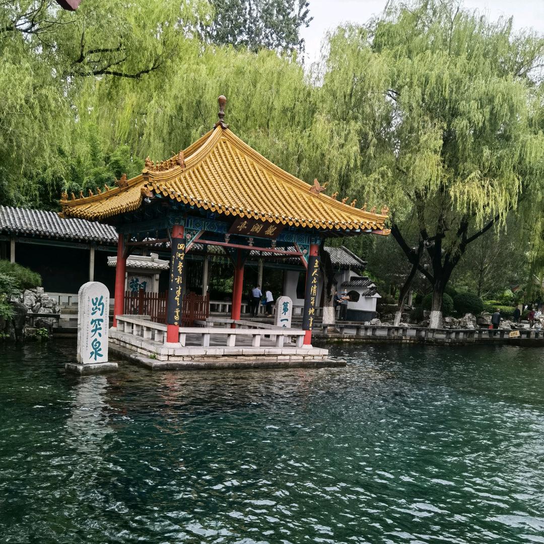 山东临沂瑞达木粉厂1