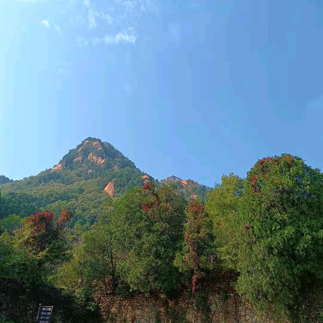 京北大闲人