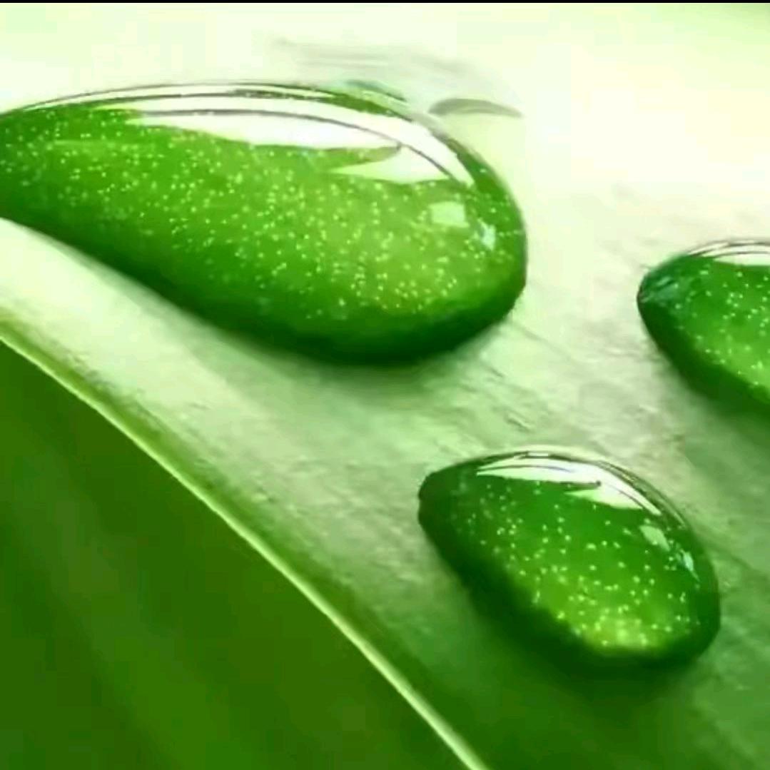 陈立森