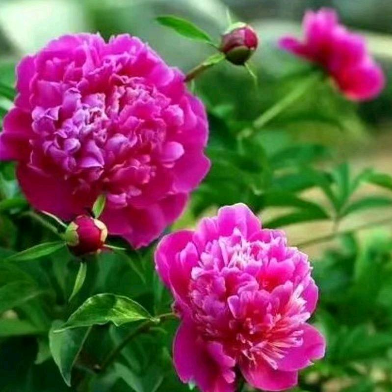 用nnqqw。。..qq户qqqq。.2