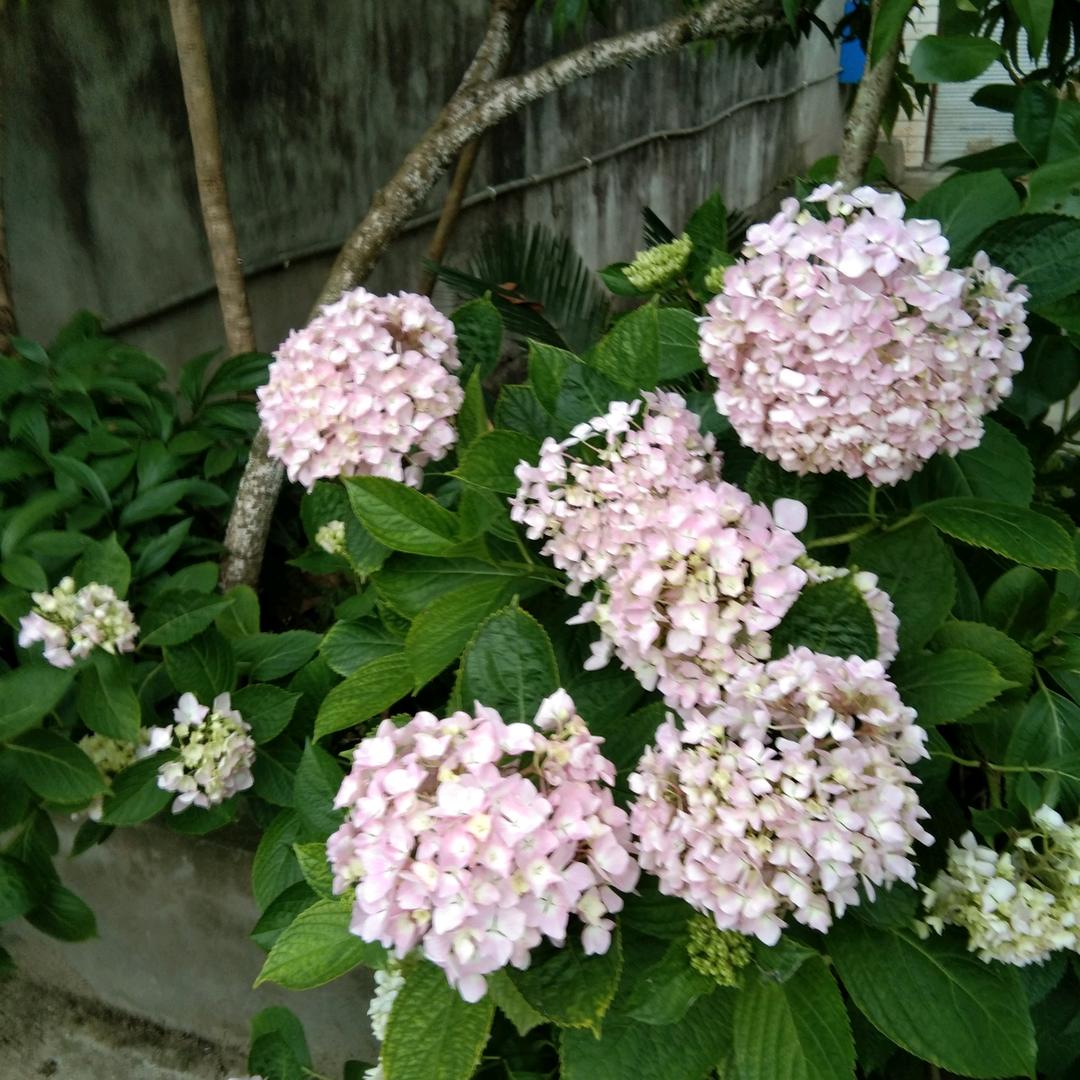 小雨纷飞
