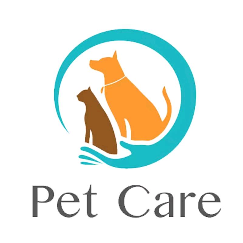 毛豆子宠物食品