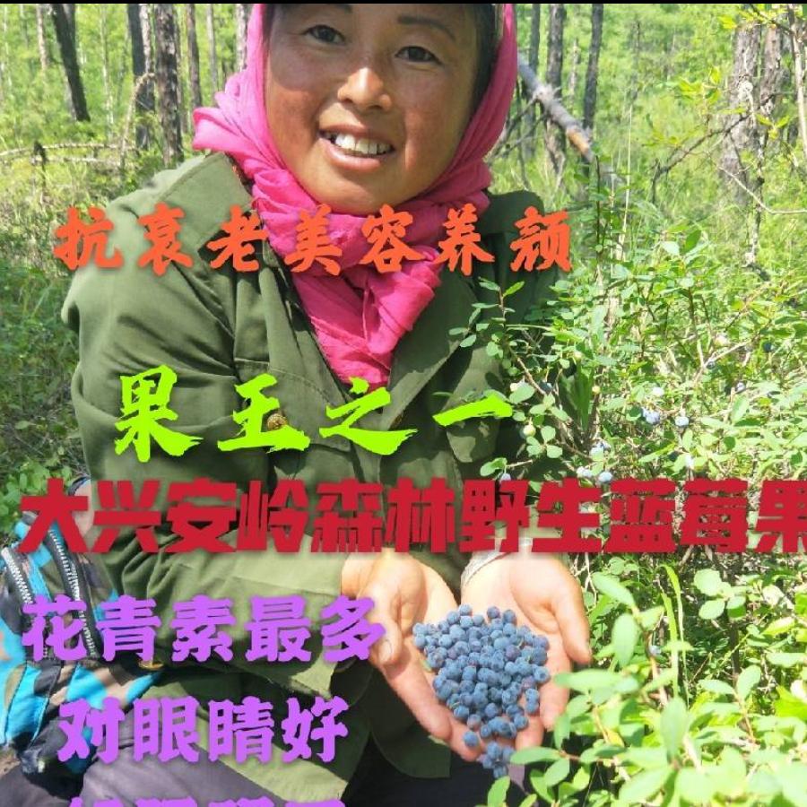 龙景兴安特产