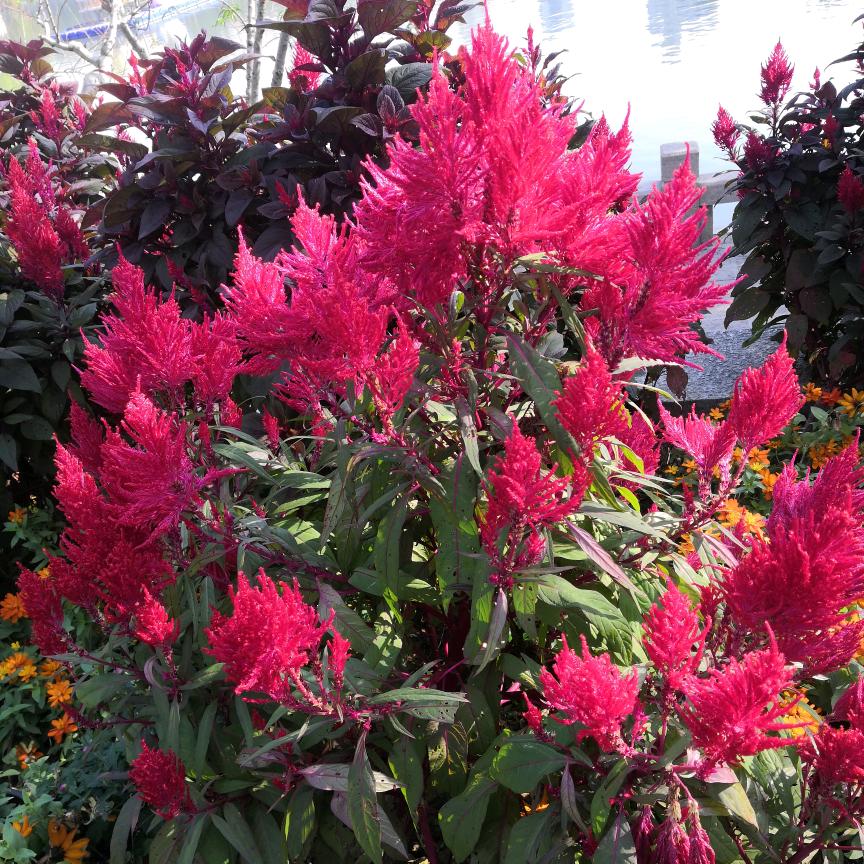 用户5985603314138 田田