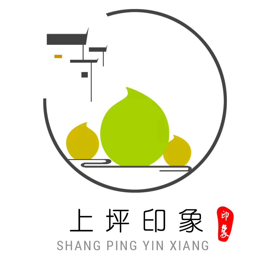 河源印象专营店