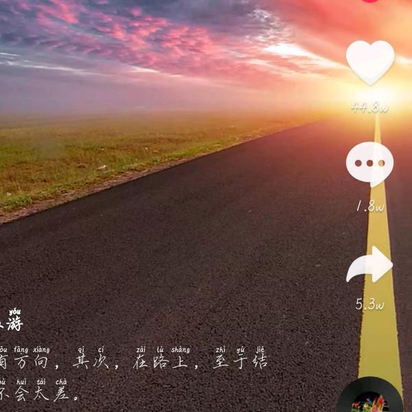 🤪🤪后会无期