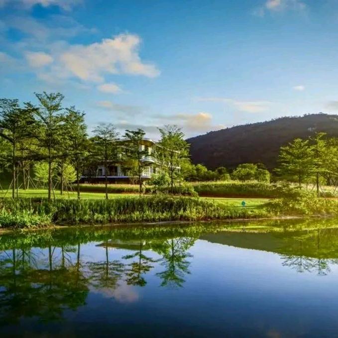 木林杉