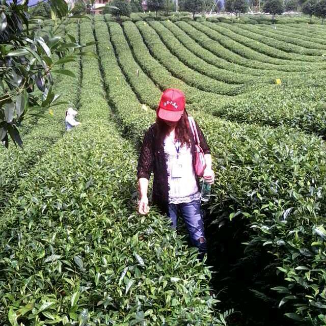 前进富平农家乐